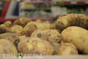 Для пензенских аграриев расширят меры господдержки
