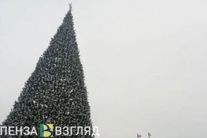 Миллион на монтаж главной новогодней елки, планы по расселению аварийного жилья и контроль за питанием школьников — новости Пензы и области за 14 ноября