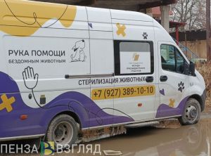 «Стериль-Мобиль» бесплатно стерилизовал более 900 кошек и собак в Пензенской области