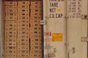 Россельхознадзор рассказал об экспорте мясной продукции из Пензенской области