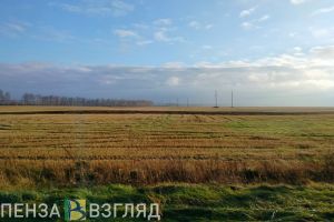 Пензенская область стала лучшей в стране по цифровизации АПК в III квартале