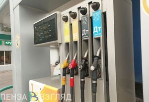 В Пензенской области подорожали топливо, лекарства и одежда