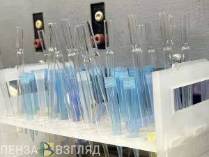 Пензенские ученые могут получить именные премии правительства Пензенской области