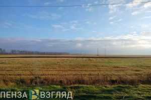 В Земетчинском районе участок земли отдали под добычу полезных ископаемых