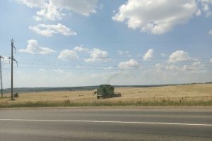 Из Пензенской области экспортировали более 11 тысяч тонн зерна
