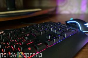 В Пензе беременным и многодетным могут дать право уходить на дистант на работе