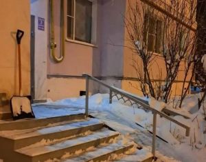 Глава Пензы очистил от снега входную группу своего подъезда