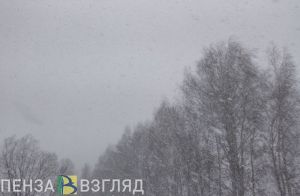 12 января в Пензенской области ожидаются метель и сильный ветер
