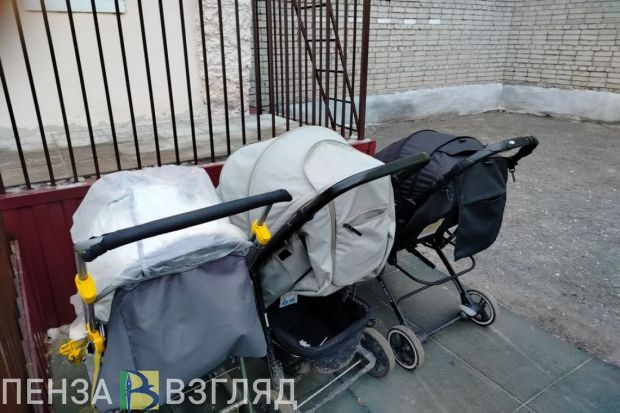 Студенческим семьям в Пензенской области выплатят по 200 000 рублей за ребенка