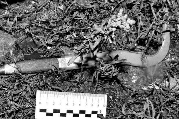 Появились видео и подробности дела по теракту на железной дороге около Кузнецка