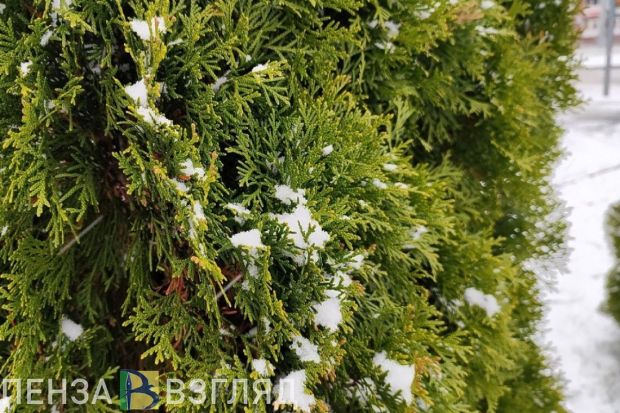 24 февраля в Пензенской области будет снег с дождем и резкий перепад температуры