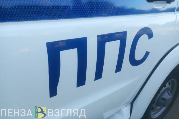 Пензячка пыталась спасти машину от ареста и 28 раз наехала на полицейского