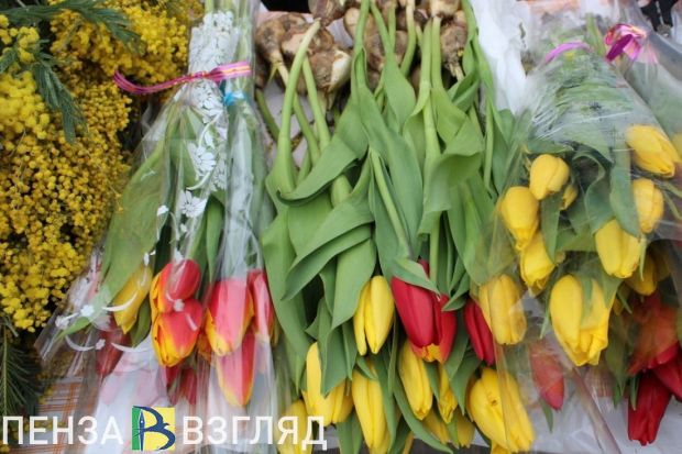В Пензе начали работу цветочные ярмарки