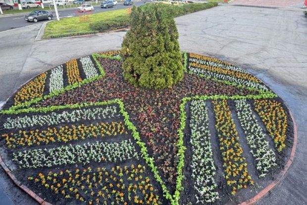 В Пензе высадят более 260 тысяч цветов