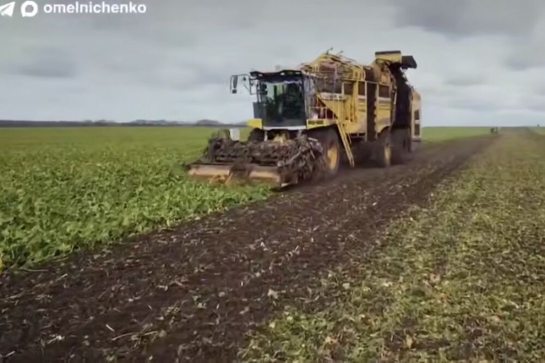 Мельниченко: урожай зерна в 2026 году — минимум 2,8 млн тонн