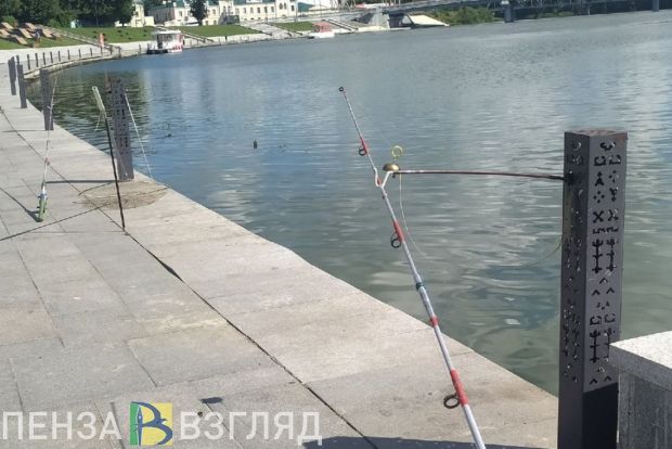 В Пензенской области с 15 апреля начнет действовать нерестовый запрет