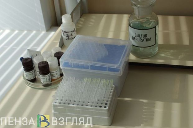 Пензенцев предупреждают о нашествии клещей и комаров