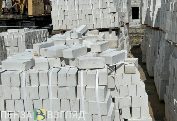 На ГПЗ в Пензе хотят построить детскую поликлинику на 350 посещений в смену