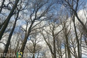 В Пензенской области в ближайшие дни ждут дожди с грозами и резкое потепление