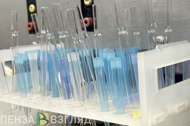 В Пензенской области 3 844 донора получили ежегодную денежную выплату