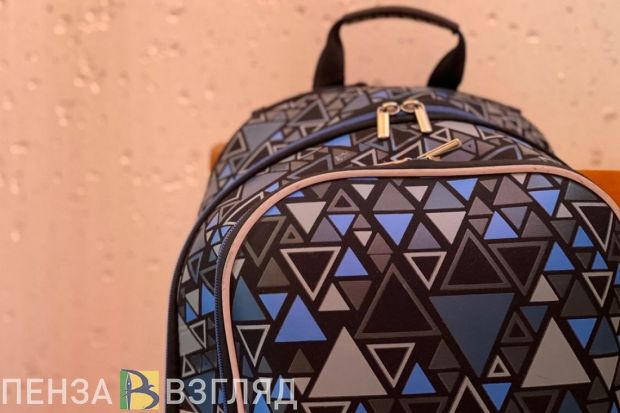 Бастрыкину доложат о состоянии школы в Вадинске