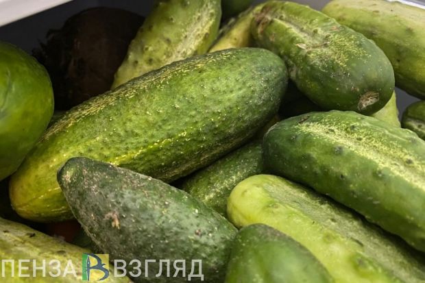 В Пензенской области не вся плодоовощная продукция прошла проверку качества