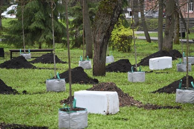 В озеленении Пензы приняли участие около 8 тысяч человек