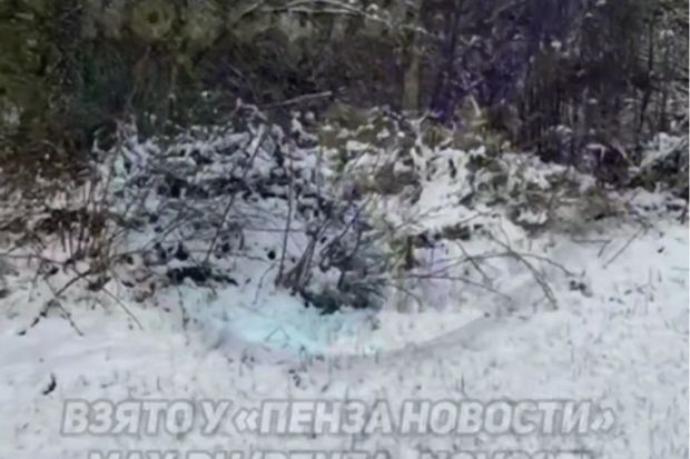 Жители Пензенской области делятся кадрами выпавшего снега