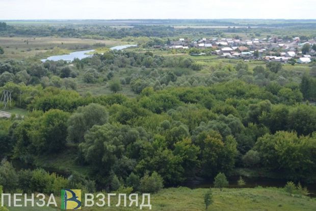В Пензенской области патрулируют леса