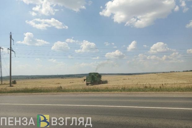 Пензенцам разъяснили, для чего в регионе ввели режим ЧС из-за гибели посевов
