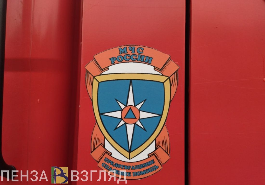 При пожаре в Тамалинском районе пострадали женщина и двое малышей