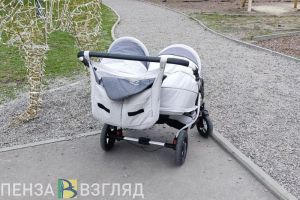 В Пензе 591 семья находится в группе риска