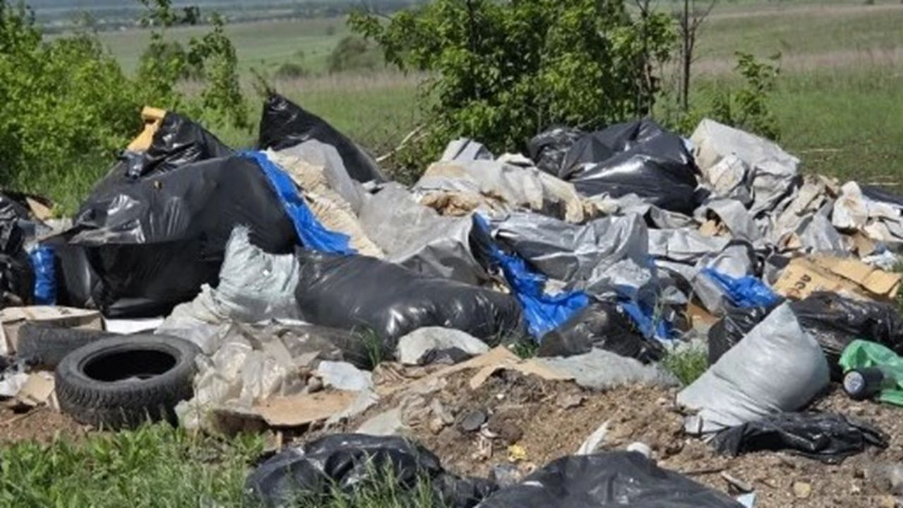 Под Пензой обнаружили свалку на территории сельхозугодий