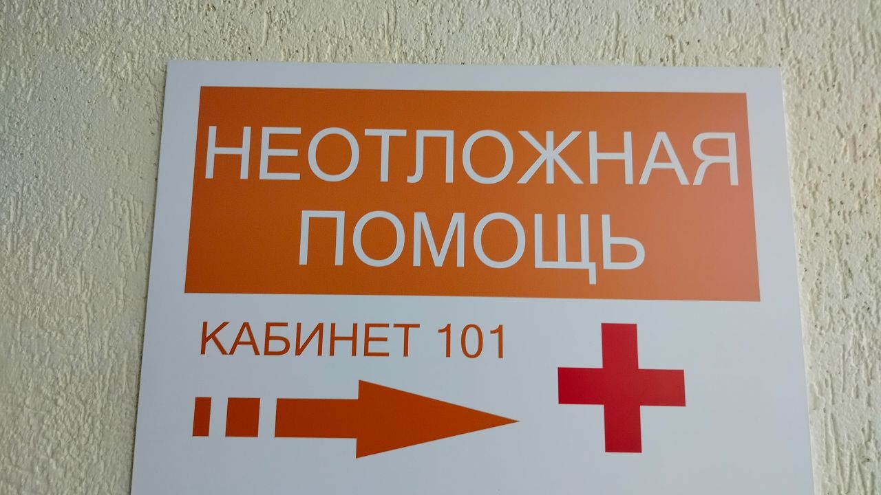 В Пензенской области 173 человека заразились боррелиозом из-за клещей