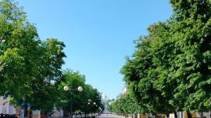 11 июня в Пензе ввели режим повышенной готовности