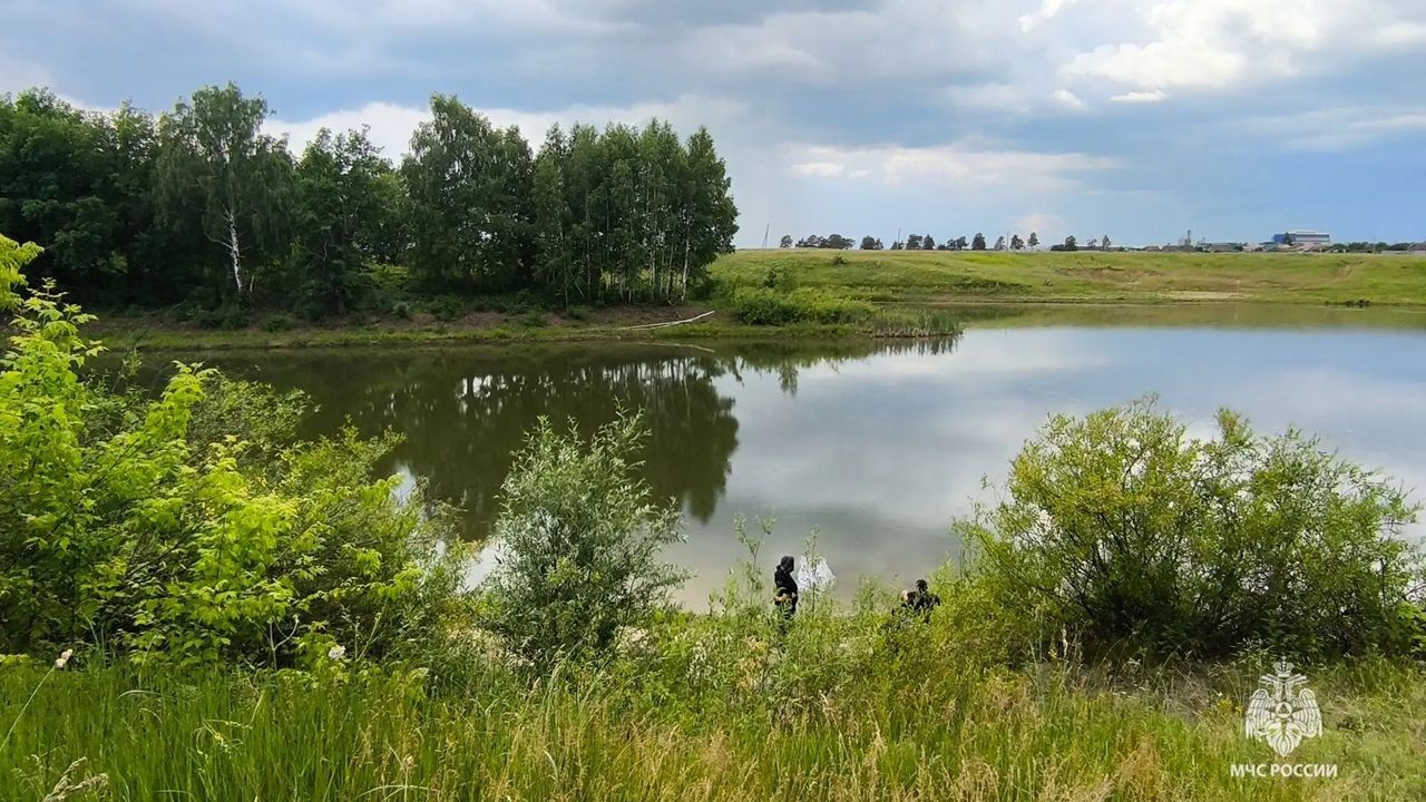 Смерть двух мужчин на водоеме, 44 пожара за неделю и режим повышенной готовности — новости Пензы и области за 15 июня