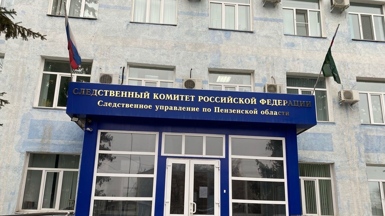 В Пензенской области в 2026 году раскрыли два дела о сексуальных посягательствах