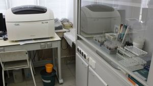 В Пензенской области 1333 человека пострадавли от нападения клещей