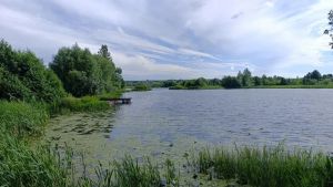 СУ СКР проводит проверку по факту смерти мужчины в водоеме Пензенского района