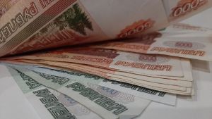 14 пензенских НКО получат президентские гранты на сумму более 51 миллиона рублей