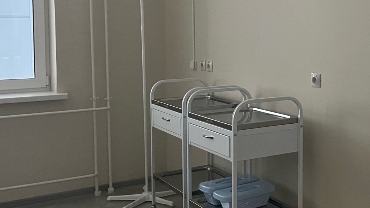 Пензенцам рассказали, когда спадет пик активности клещей