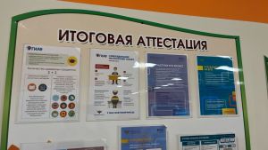 Пензенские выпускники улучшили результаты ЕГЭ по математике