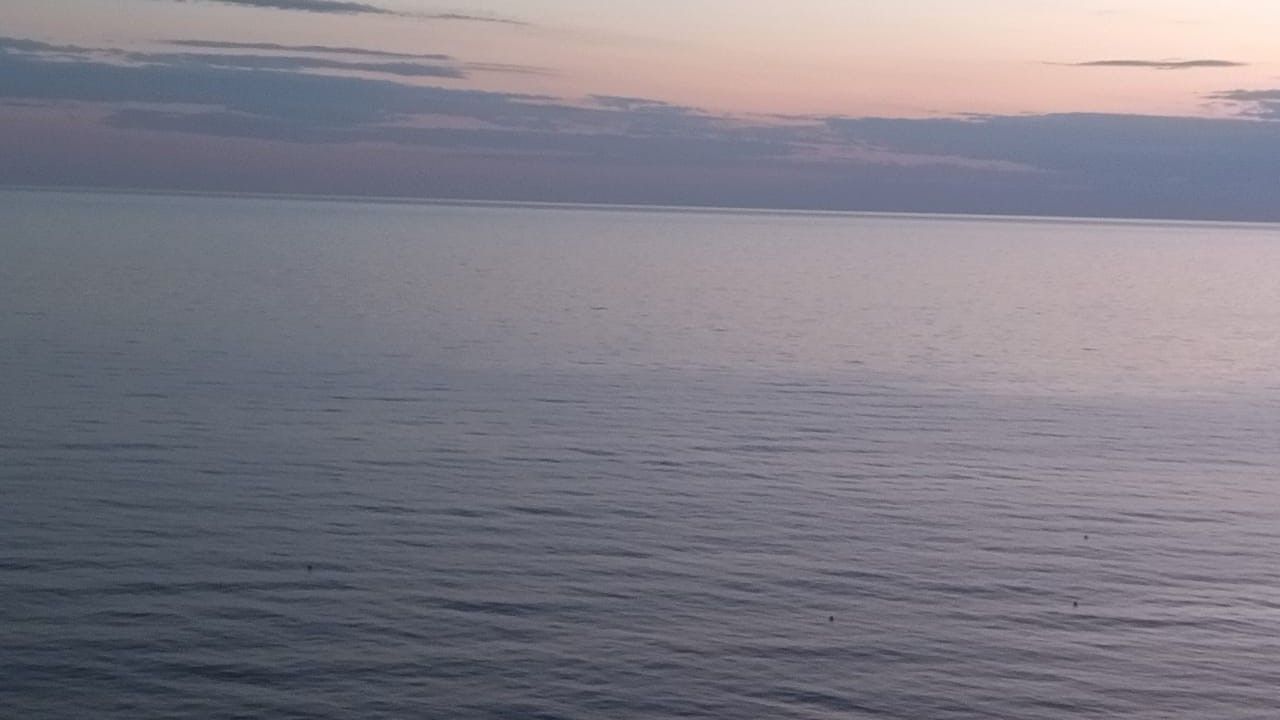 Пензенские дети летом не смогут попасть в «Артек» и «Алые паруса»