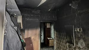 За сутки в Пензенской области ликвидировали четыре пожара