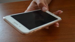 Более 280 тысяч жителей Пензенской области использовали цифровой помощник МФЦ