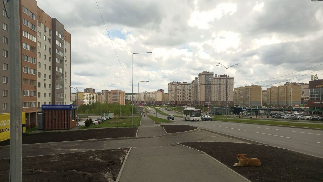За неделю жители Пензенской области направили в соцсети почти тысячу обращений