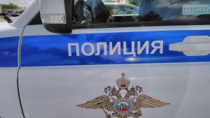 В Пензенской области ищут сбившего животное на трассе М-5 водителя