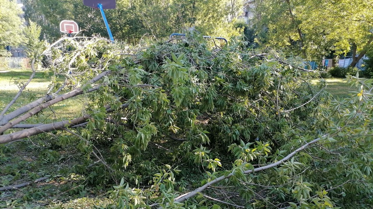 Пензенцев предупредили о порывах ветра до 18 метров в секунду