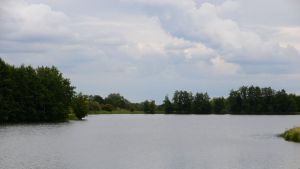 Пензенцам объяснили, чем опасен алкоголь при купании в водоемах