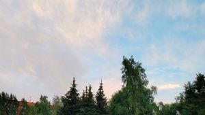 Жители Пензы видят дым в небе над городом